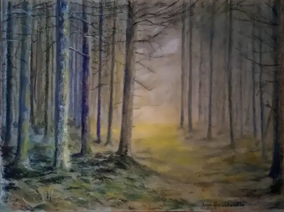 Tallskog i Värmland